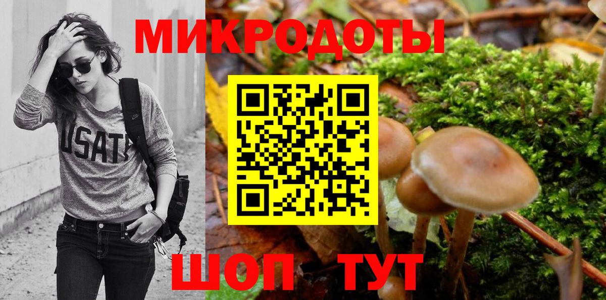 Псилоцибиновые грибы Psilocybine cubensis  Галлюциногенные грибы Psilocybine cubensis  Вход с VPN  Россия 