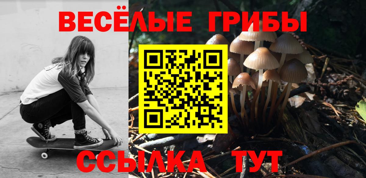 Псилоцибиновые грибы MAGIC MUSHROOMS Россия